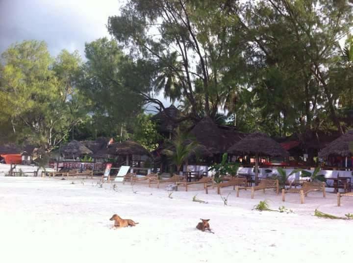 Sipano Beach Lodge 키웬그와 외부 사진