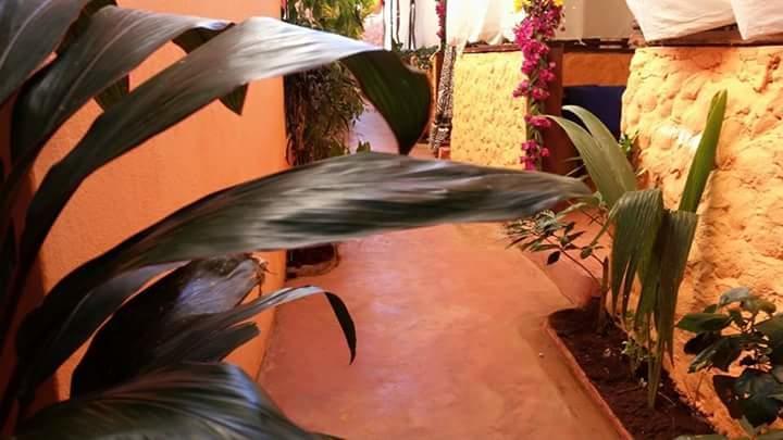 Sipano Beach Lodge 키웬그와 외부 사진